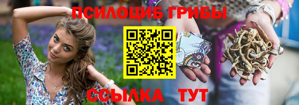 Галлюциногенные грибы Psilocybe Калач-на-Дону